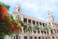 HKU Profile Pic